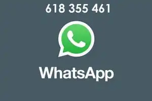 WhatsApp_Logo_movil